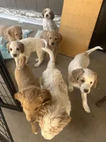 processed/3ceeb217-a89e-4d41-988d-e8e3256af047/facility/28a9611e-ed20-4af9-ad70-4161ea8d4518