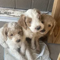 processed/3ceeb217-a89e-4d41-988d-e8e3256af047/facility/430dd1f7-967c-450d-8263-fd4dbc477d67