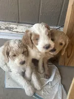 processed/3ceeb217-a89e-4d41-988d-e8e3256af047/facility/430dd1f7-967c-450d-8263-fd4dbc477d67