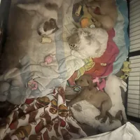 processed/3ceeb217-a89e-4d41-988d-e8e3256af047/facility/aa25578b-a5f6-4773-9417-b3bfccf3fe46