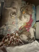 processed/3ceeb217-a89e-4d41-988d-e8e3256af047/facility/aa25578b-a5f6-4773-9417-b3bfccf3fe46