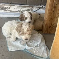 processed/3ceeb217-a89e-4d41-988d-e8e3256af047/facility/b68649c6-8ec8-432a-a90d-0c6f3c3fa6b2