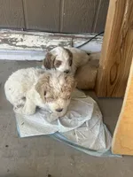 processed/3ceeb217-a89e-4d41-988d-e8e3256af047/facility/b68649c6-8ec8-432a-a90d-0c6f3c3fa6b2