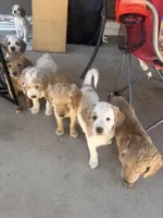 processed/3ceeb217-a89e-4d41-988d-e8e3256af047/facility/be508d3a-a2e3-4af9-ae6a-c2b04570b7e4