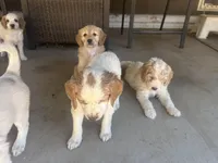 processed/3ceeb217-a89e-4d41-988d-e8e3256af047/facility/e28dfaae-4798-4f27-b02e-03e4c3a78748