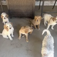 processed/3ceeb217-a89e-4d41-988d-e8e3256af047/facility/f7cf8148-ab0d-40e4-aa23-368f7de99f0e