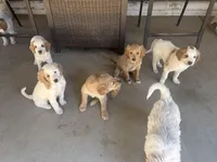 processed/3ceeb217-a89e-4d41-988d-e8e3256af047/facility/f7cf8148-ab0d-40e4-aa23-368f7de99f0e