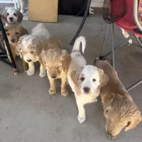 processed/3ceeb217-a89e-4d41-988d-e8e3256af047/facility/fe36e769-b1e3-4760-83e7-11525e1db09b