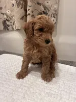 processed/3cf0eeea-5bf7-4e64-b973-7eca4d0bc9d7/listing/08ebdc7d-108a-41ee-a4e2-c5078c2cf3d9/4d9da985-7f88-4de9-8d6b-f27ad0001e1f