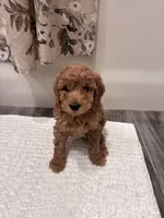 processed/3cf0eeea-5bf7-4e64-b973-7eca4d0bc9d7/listing/08ebdc7d-108a-41ee-a4e2-c5078c2cf3d9/7a68725c-6d86-4dd1-9f52-83a18292dbcf