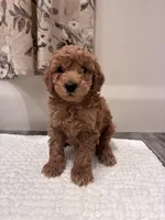 processed/3cf0eeea-5bf7-4e64-b973-7eca4d0bc9d7/listing/08ebdc7d-108a-41ee-a4e2-c5078c2cf3d9/7ea35719-131e-4ec1-a56d-e3a6b9d2794f