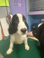 processed/3cf912fb-2696-4ba6-b675-74ebe2ab5065/listing/1a2920ef-64c9-4aaa-8a54-b2f8d1e3abcf/029ec49e-7a61-4c80-8193-035768521842