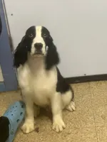 processed/3cf912fb-2696-4ba6-b675-74ebe2ab5065/listing/1a2920ef-64c9-4aaa-8a54-b2f8d1e3abcf/5460a27b-95e6-42d9-a0ca-d6bbe9d2b4ff