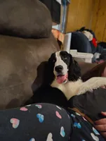 processed/3cf912fb-2696-4ba6-b675-74ebe2ab5065/listing/1a2920ef-64c9-4aaa-8a54-b2f8d1e3abcf/5c8348ac-3f14-4303-8977-7569b8ec3da3