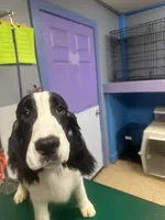 processed/3cf912fb-2696-4ba6-b675-74ebe2ab5065/listing/1a2920ef-64c9-4aaa-8a54-b2f8d1e3abcf/bda36ef2-da47-4ff2-9d84-e0b6cf2ea393