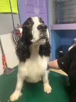 processed/3cf912fb-2696-4ba6-b675-74ebe2ab5065/listing/1a2920ef-64c9-4aaa-8a54-b2f8d1e3abcf/fdfd1d8e-753b-4d0c-bdb7-c0a6272dd6f3