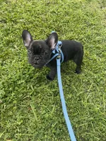 processed/3cfb610e-f00c-4e9a-b1fe-21efec950720/listing/91b51367-f132-400a-87a7-8d1025ba8d02/10e819eb-aa74-4367-822b-25336409a46b