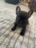 processed/3cfb610e-f00c-4e9a-b1fe-21efec950720/listing/91b51367-f132-400a-87a7-8d1025ba8d02/6fe03fd9-f6c8-4398-aac1-f651b7cf8768