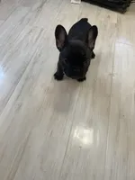 processed/3cfb610e-f00c-4e9a-b1fe-21efec950720/listing/91b51367-f132-400a-87a7-8d1025ba8d02/8e23f869-6a0a-4c16-a7b0-1033783cc626