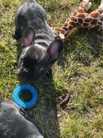 processed/3cfb610e-f00c-4e9a-b1fe-21efec950720/listing/91b51367-f132-400a-87a7-8d1025ba8d02/92c33562-c5a7-473f-a386-06fea6cf0a38