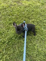 processed/3cfb610e-f00c-4e9a-b1fe-21efec950720/listing/91b51367-f132-400a-87a7-8d1025ba8d02/95a10ac5-b950-470d-86d6-b6aa5948449a