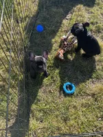 processed/3cfb610e-f00c-4e9a-b1fe-21efec950720/listing/91b51367-f132-400a-87a7-8d1025ba8d02/a0637ea6-b9fd-47f0-8e70-d109f39e3837