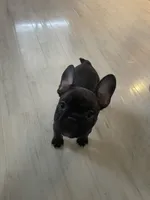 processed/3cfb610e-f00c-4e9a-b1fe-21efec950720/listing/91b51367-f132-400a-87a7-8d1025ba8d02/f60dbe59-3d7b-4b0e-a6b8-e866d10552d1