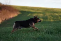 processed/3cfb9c3f-dce0-472a-a2ee-497136e1b18a/facility/22b7f847-2266-48cf-b433-fe08f51825e3