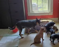 processed/3cfb9c3f-dce0-472a-a2ee-497136e1b18a/facility/76ce5936-96d4-4e4b-97d4-a577f5f4c45b