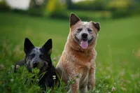 processed/3cfb9c3f-dce0-472a-a2ee-497136e1b18a/facility/7bb103bb-d922-4019-91a2-0a85e3651893