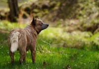 processed/3cfb9c3f-dce0-472a-a2ee-497136e1b18a/facility/88554304-efb7-4041-ae2e-0d1d26beeb2b