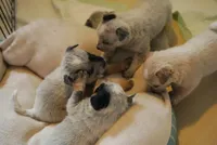 processed/3cfb9c3f-dce0-472a-a2ee-497136e1b18a/facility/940d54f7-5a06-4e58-bc72-74479a7af264