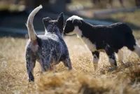 processed/3cfb9c3f-dce0-472a-a2ee-497136e1b18a/facility/a9e07ae5-5294-4897-923e-bbbad486e13c