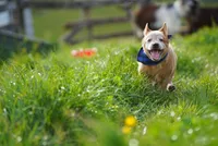 processed/3cfb9c3f-dce0-472a-a2ee-497136e1b18a/facility/b8f96e33-e12f-4301-a94f-c2c59c6f0984