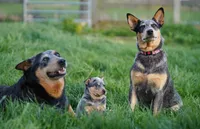 processed/3cfb9c3f-dce0-472a-a2ee-497136e1b18a/facility/cdaa7525-42b1-4608-afd7-9522f2974efb