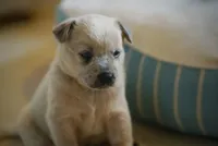 processed/3cfb9c3f-dce0-472a-a2ee-497136e1b18a/facility/f68ba7a8-d498-43de-8c63-dec0c2cbbb4c