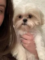 processed/3d07394b-cfeb-4a4a-be2c-c13602ca0d81/facility/09fcd494-5c0f-47c2-885f-a57bc5e3a07d