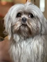 processed/3d07394b-cfeb-4a4a-be2c-c13602ca0d81/facility/15320f96-06ab-481a-9980-752260851c40