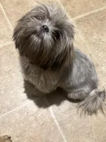 processed/3d07394b-cfeb-4a4a-be2c-c13602ca0d81/facility/4511ea29-a2a5-4454-a596-6bf0184d1bb8