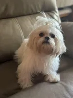 processed/3d07394b-cfeb-4a4a-be2c-c13602ca0d81/facility/4e226c60-138c-46ce-a294-d83f03918b73