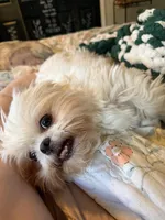 processed/3d07394b-cfeb-4a4a-be2c-c13602ca0d81/facility/68395d05-9b65-4e27-8c61-5a0800d7ada9