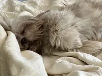 processed/3d07394b-cfeb-4a4a-be2c-c13602ca0d81/facility/8c9fbf77-377d-40d5-9467-afbf90017b83