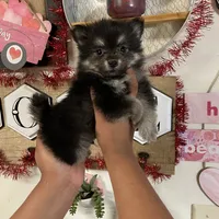 processed/3d0b0e6f-fd90-4ccf-9367-aabe55afd448/facility/03132af2-1389-4b15-9369-2e26fb92bffd