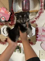 processed/3d0b0e6f-fd90-4ccf-9367-aabe55afd448/facility/03132af2-1389-4b15-9369-2e26fb92bffd