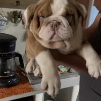 processed/3d0b0e6f-fd90-4ccf-9367-aabe55afd448/facility/168b7f06-59dd-47e4-b005-4e5ae2c9c86f