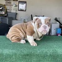 processed/3d0b0e6f-fd90-4ccf-9367-aabe55afd448/facility/3d95d156-654f-4ac5-8a37-8708eb9f26f5