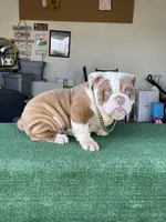 processed/3d0b0e6f-fd90-4ccf-9367-aabe55afd448/facility/3d95d156-654f-4ac5-8a37-8708eb9f26f5