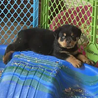 processed/3d0b0e6f-fd90-4ccf-9367-aabe55afd448/facility/3e9d7926-db84-4129-ba38-bdc78adce74e