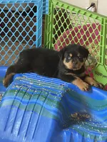 processed/3d0b0e6f-fd90-4ccf-9367-aabe55afd448/facility/3e9d7926-db84-4129-ba38-bdc78adce74e