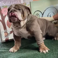 processed/3d0b0e6f-fd90-4ccf-9367-aabe55afd448/facility/676eef2e-a713-40b1-91b0-47bc7978a289